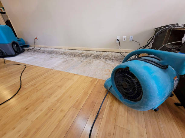 Professional Structural Drying technician working in Jersey, GA